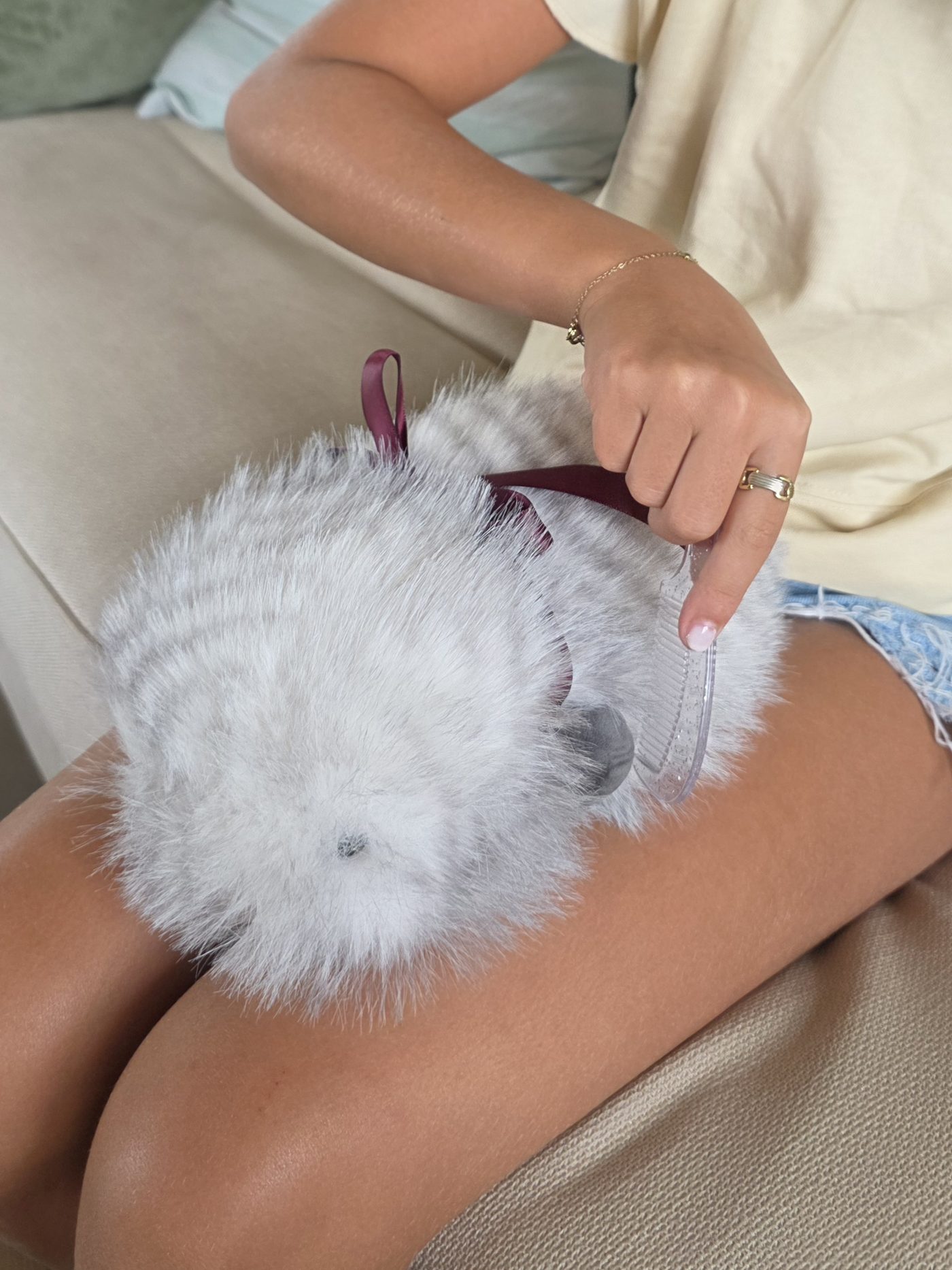 Cupboo van dichtbij op schoot